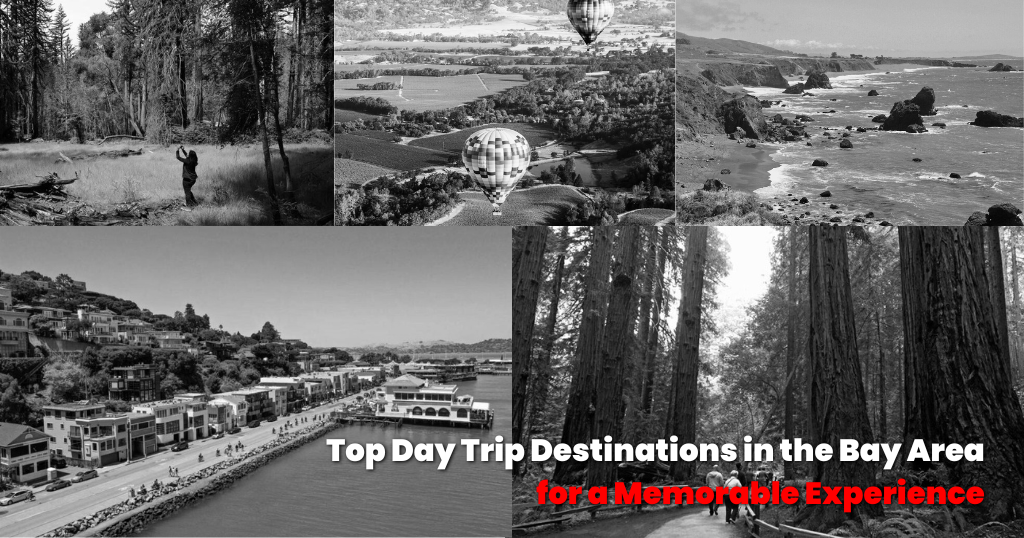 bay area day trips