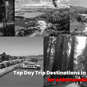 Top Day Trip Destinations in the Bay Area for a Memorable Experience